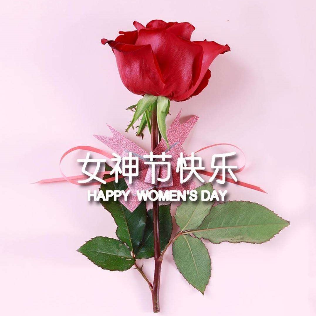 女神節(jié)特輯丨以醫(yī)療力量，筑女性健康